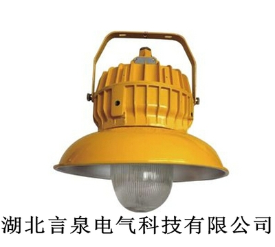 工廠防爆燈GCD5012-L100x 安全照明的先鋒選擇